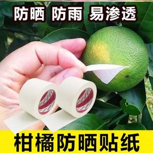 伤粑粑柑耐晒橘子防晒柑橘水果止防灼遮阳袋防止太阳贴纸日果 新品