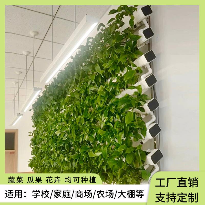 NFT无土栽培植物墙蔬菜草莓种植水培设备阳台管道种菜机学校教学