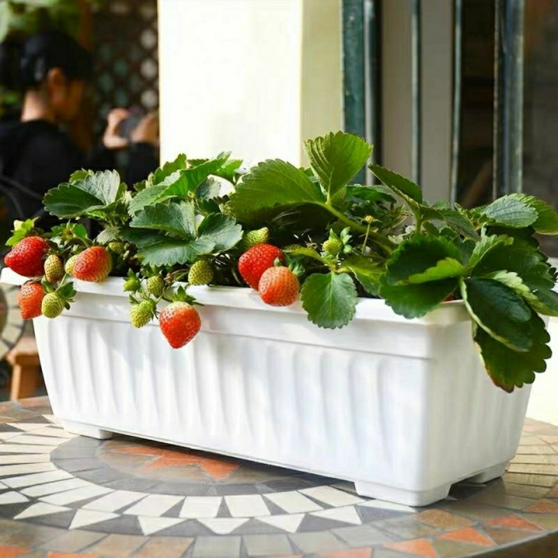 阳台种菜盆长方形花盆特大号塑料家用泡沫箱子家庭蔬菜种植箱