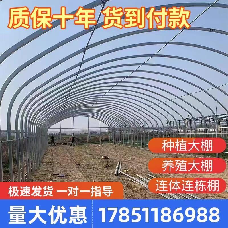 温室大棚钢管骨架定制养殖猪牛羊种植蔬菜大棚连栋热镀支架全厂家