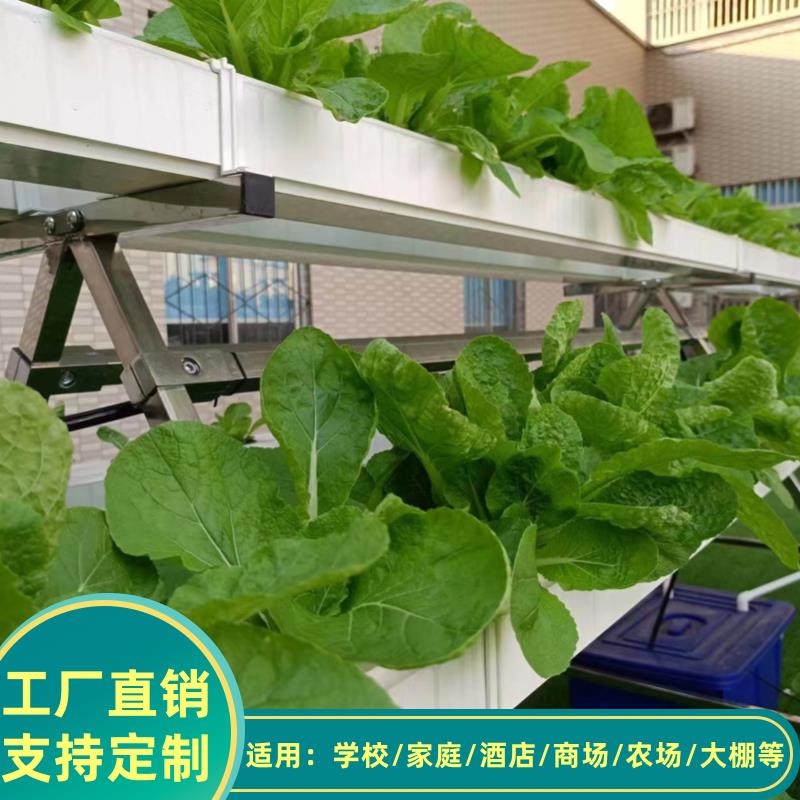 无土栽培蔬菜草莓种植半A字架水培设备阳台管道种菜机学校农场