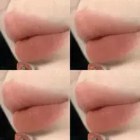 Пигмент New Version No. 1 Color #Warm Spring [Nude Color]