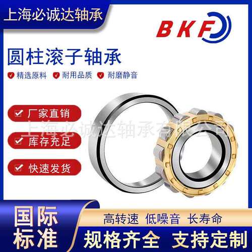BKF圆柱滚子轴承N NJ NU NF NUP232 234 236 240 332 334 336 EM