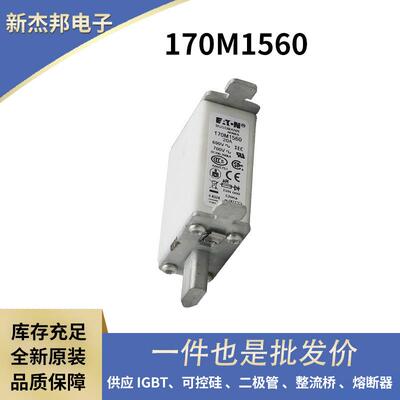 170M6965 170M6966 170M6967快速熔断器 高压熔断器 巴斯曼原装