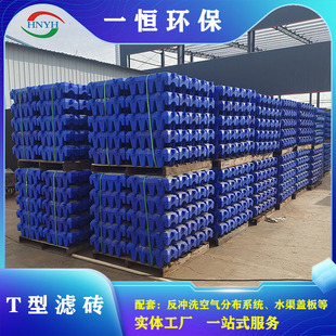 气水分布滤砖 反硝化深床滤池滤砖 T型滤砖 HDPE滤砖
