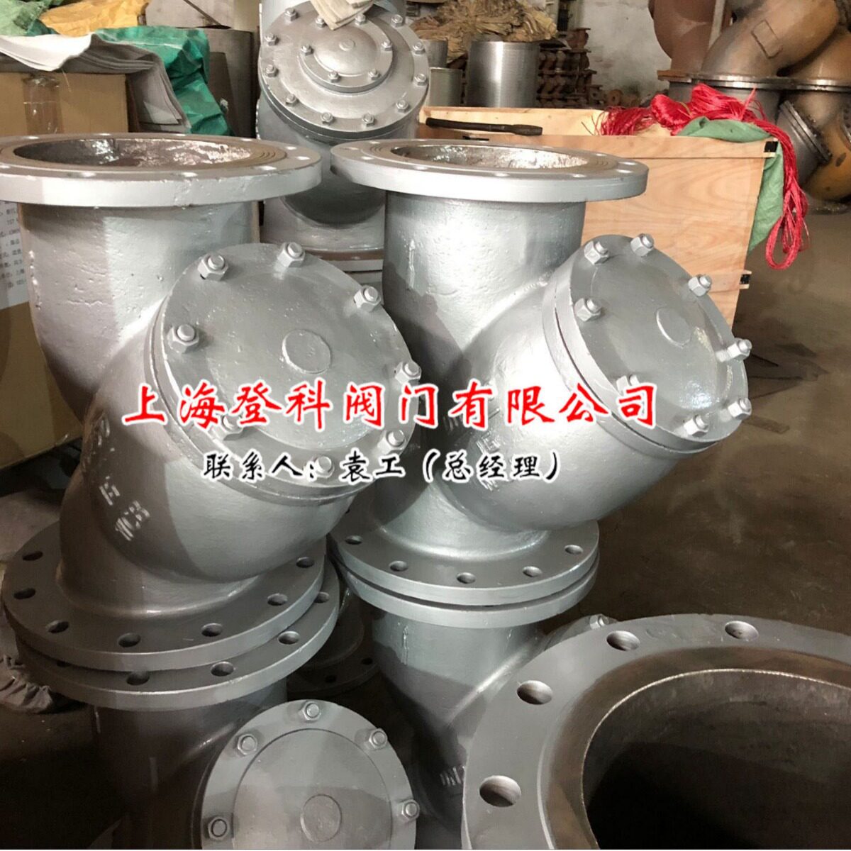 Y型管式过滤器DN200PN25水用