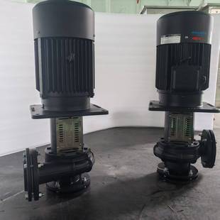 YLX(2)350-50液下吸入口增压泵 惠州沃德水油颗粒混合物污水泵