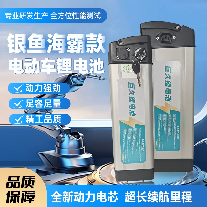 折叠车48V1g2AH20AH30AH大容量电池代驾车外卖专用锂电池通用