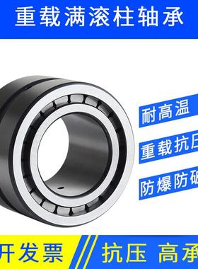 重载双排满滚柱圆柱滚子轴承NNCF/SL185004 5005 5006 5007 5008