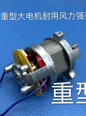 DSH-B型塑料焊枪热风枪电机500w700w通用小马达实验专用重型轻型