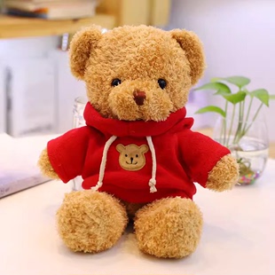 抱睡公仔娃娃儿童生日礼物抱抱熊 可爱泰迪熊玩偶小熊毛绒玩具正版