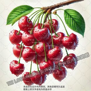 逼真樱桃水果贴纸厨房冰箱专用防水自粘贴画墙上门窗樱有尽有贴花