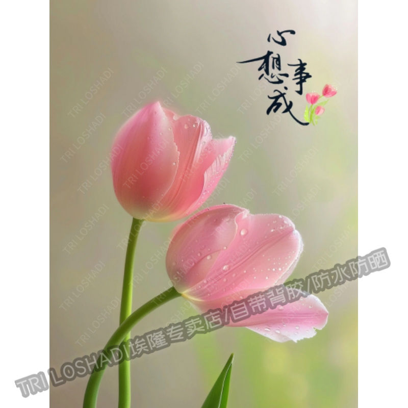 心想事成郁金香海报墙面门窗蕙质兰心淡雅花草贴纸遮丑遮瑕自粘贴