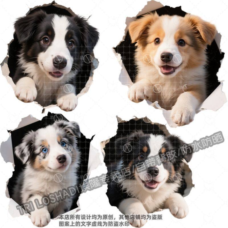 可爱边牧狗狗3D视觉贴纸汽车车身保险杠划痕贴画防水墙面门窗贴花