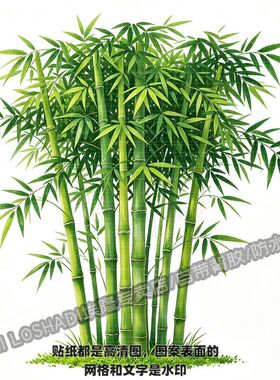 竹子贴纸四季常青竹报平安翠竹贴