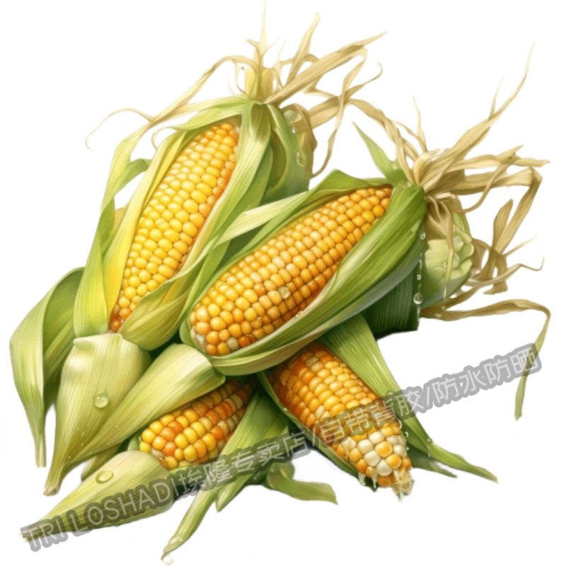 新鲜玉米冰箱厨房贴纸墙上门窗遮瑕防水贴花瓷砖橱柜玉米蔬菜贴画