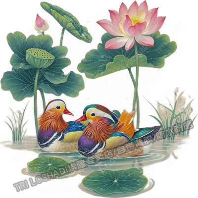 中式鸳鸯戏水恩爱贴纸卧室床头客厅好运莲莲贴纸卫生间马桶贴画纸