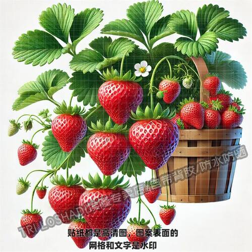 草莓亮面防水墙贴餐厅厨房客厅