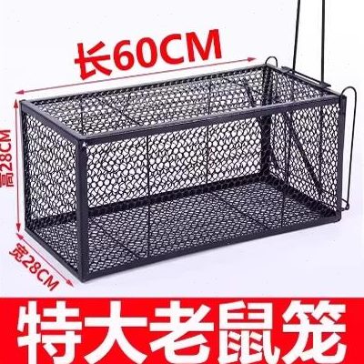 室内家用号笼耗子捕捉灭鼠神器全自动器笼捕鼠老鼠笼大型