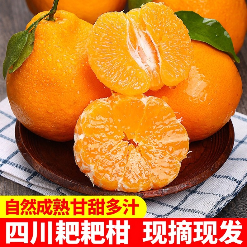 新鲜现摘正宗四川春见耙耙柑爆浆爆汁纯甜橘子粑粑柑子带箱4.5斤,水产肉类/新鲜蔬果/熟食,桔子,淘宝优惠券,粉丝福利购,淘宝优惠卷