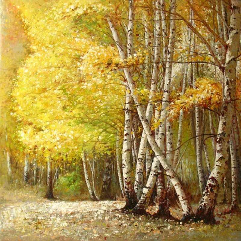 秋天白桦树林风景画 客厅沙发玄关入户纯手绘油画欣美画店