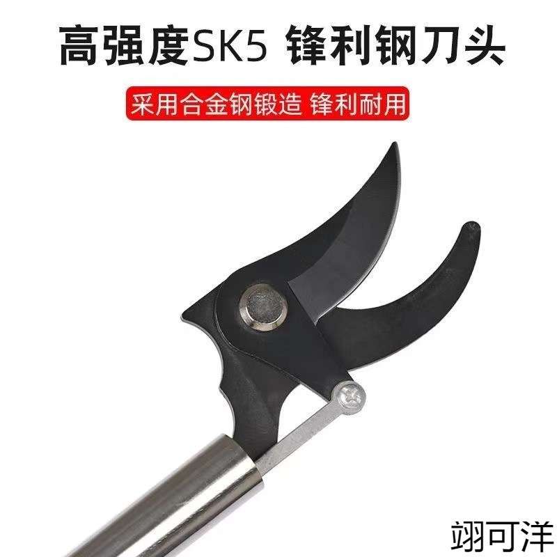 槐花剪高枝剪修枝剪不锈钢修剪园林疏花稀果剪枝槐米加长杆高空剪