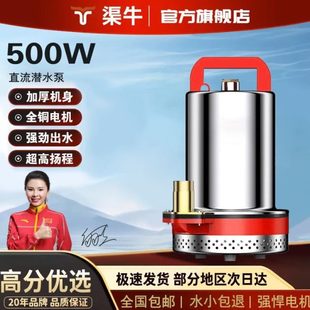 农用家用60插电灌溉V直流潜水泵12v抽水泵德国进口48V电动车通用