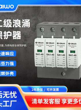 莱沃电气智能SPD浪涌保护器二级电涌电源防雷器T2大功率过欠压