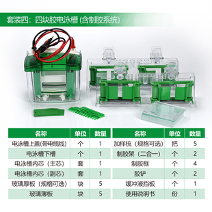 伯乐Mini Rad ProteanTetra page通用Bio 小型垂直蛋白电泳槽sds