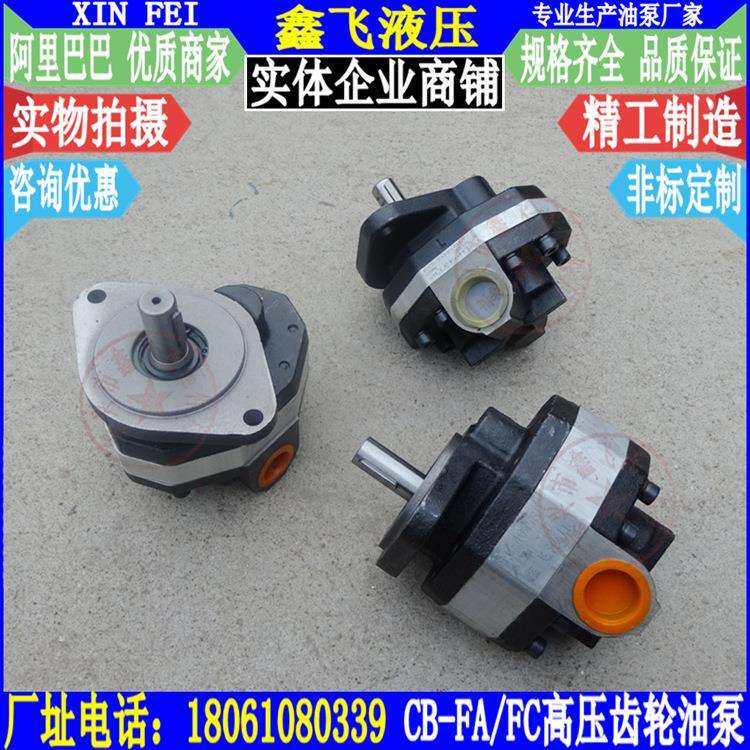 CB-FC10 FC16 FC20 FC25 FC31.5 FC32 FC40高压齿轮油泵FL液压泵