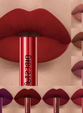 Matte Liquid Lipstick Waterproof Velvet Nude Sexy Red Lip Gl