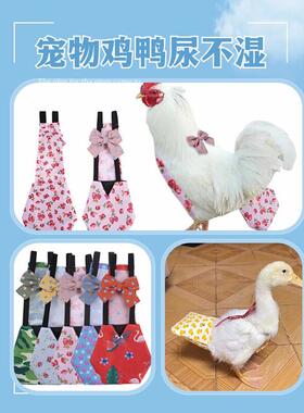 宠物鸡鸭鹅尿不湿鸡屎红色防拉屎粪兜柯尔鸭衣服乱拉尿片清洁用品