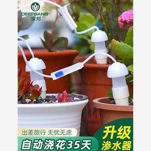 家用水浇浇花阳台浇花神器滴灌渗懒人水器外出植物全自动器出差