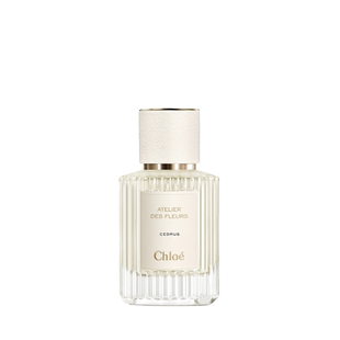 清冷木质花香调 北国雪松 多人团 50ml 蔻依香氛