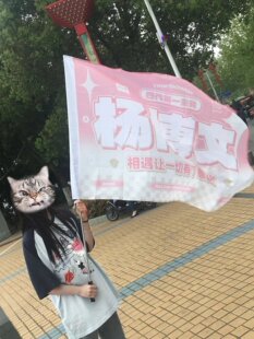 定制杨博文应援大旗TF家族四代明星户外演唱会手持大旗音乐节大旗