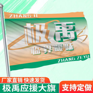 定制极禹应援旗帜明星旗户外张极应援大旗张泽禹手持应援大旗定做