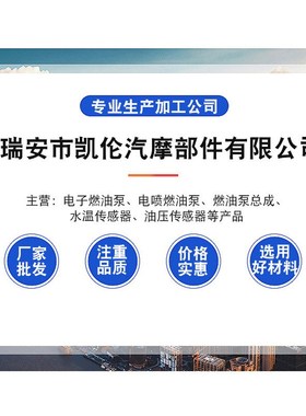 汽车燃油泵 E8012M-2 17020-06W01C 17020-06W00 17020-10W00