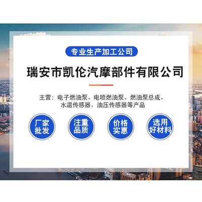 汽车燃油泵 E8012M-2 17020-06W01C 17020-06W00 17020-10W00