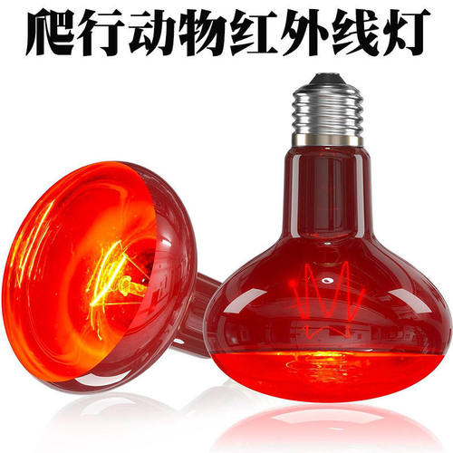 爬虫箱红外线鬃狮蜥蜴陆龟夜灯加热变色龙夜间UVA月光取暖保温灯