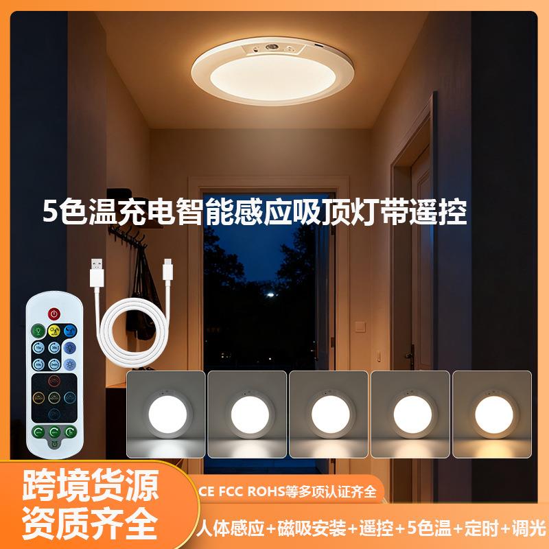 跨境家居新款智能感应吸顶灯带遥控定时磁吸式楼道人体感应充电
