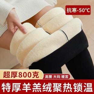 女大码 东北特厚超厚保暖裤 女加绒加厚冬外穿高腰打底裤 羊羔绒棉裤
