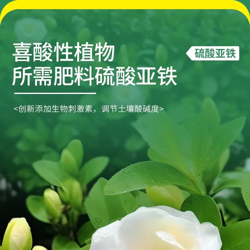 硫酸亚铁花肥f料铁肥水溶肥喜酸植物水溶液栀子花茉莉杜鹃铁树专