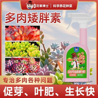 多肉专用营养液矮胖素爆芽素促芽