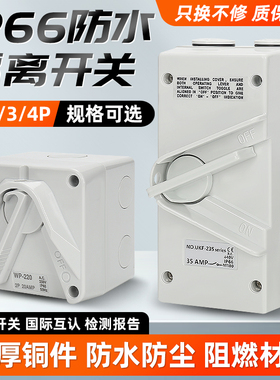 澳标工业拨把式20A曲架制UKF1茶餐厅F4厨房设备WP1防水63A开关35A