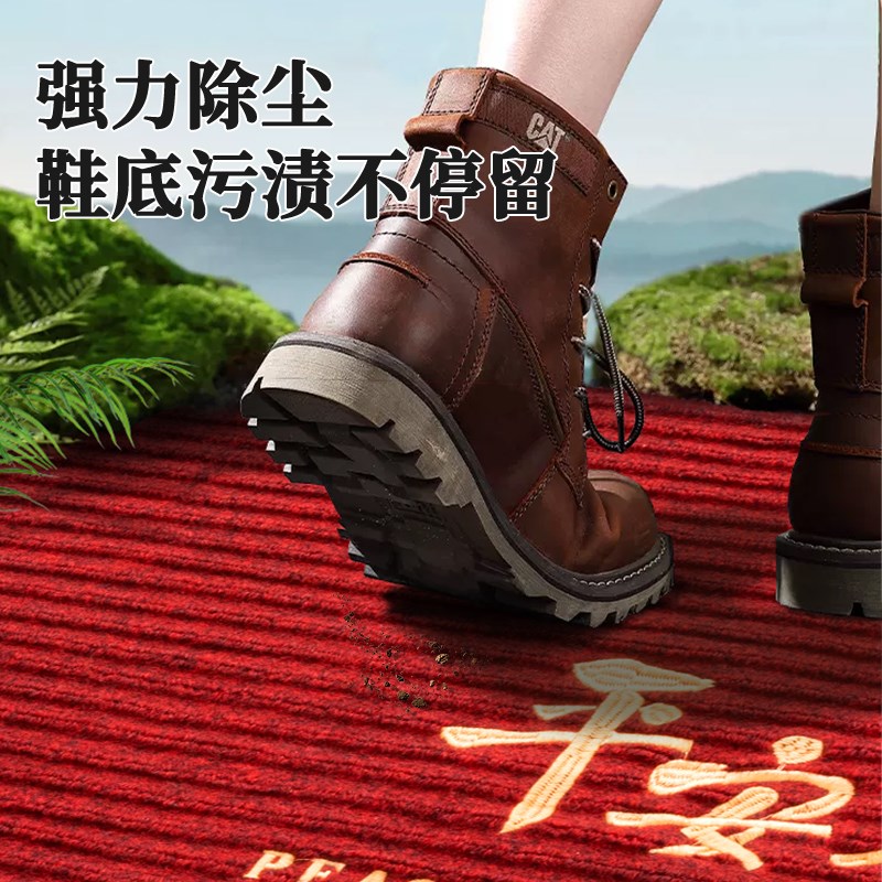 家用入户门地垫别墅进门门口脚踏垫防滑2025新款除V尘蹭土新年地
