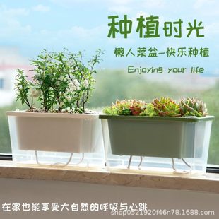 霍伦塑料花盆草莓种家庭阳台箱专用盆台种菜盆神器窗长条长方形植