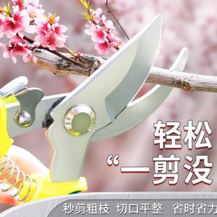 神器园林园艺剪刀果树摘树枝强力刀粗果修枝剪枝花艺剪花家用剪子