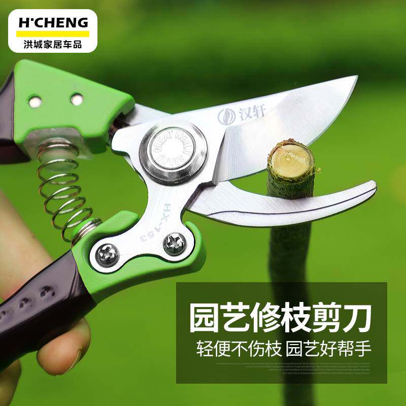 修枝剪刀果树剪花剪强力省力剪家用园林修枝修花剪子园艺花艺神器图片