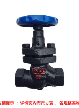 丝扣高温柱塞阀内螺纹丝口截止阀蒸汽导热油DN25 15 20 32 40 50