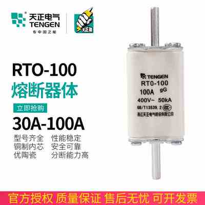 TENGEN天正 RTO-100体熔断器芯RT0-100A 63A 80A陶瓷保险丝400V